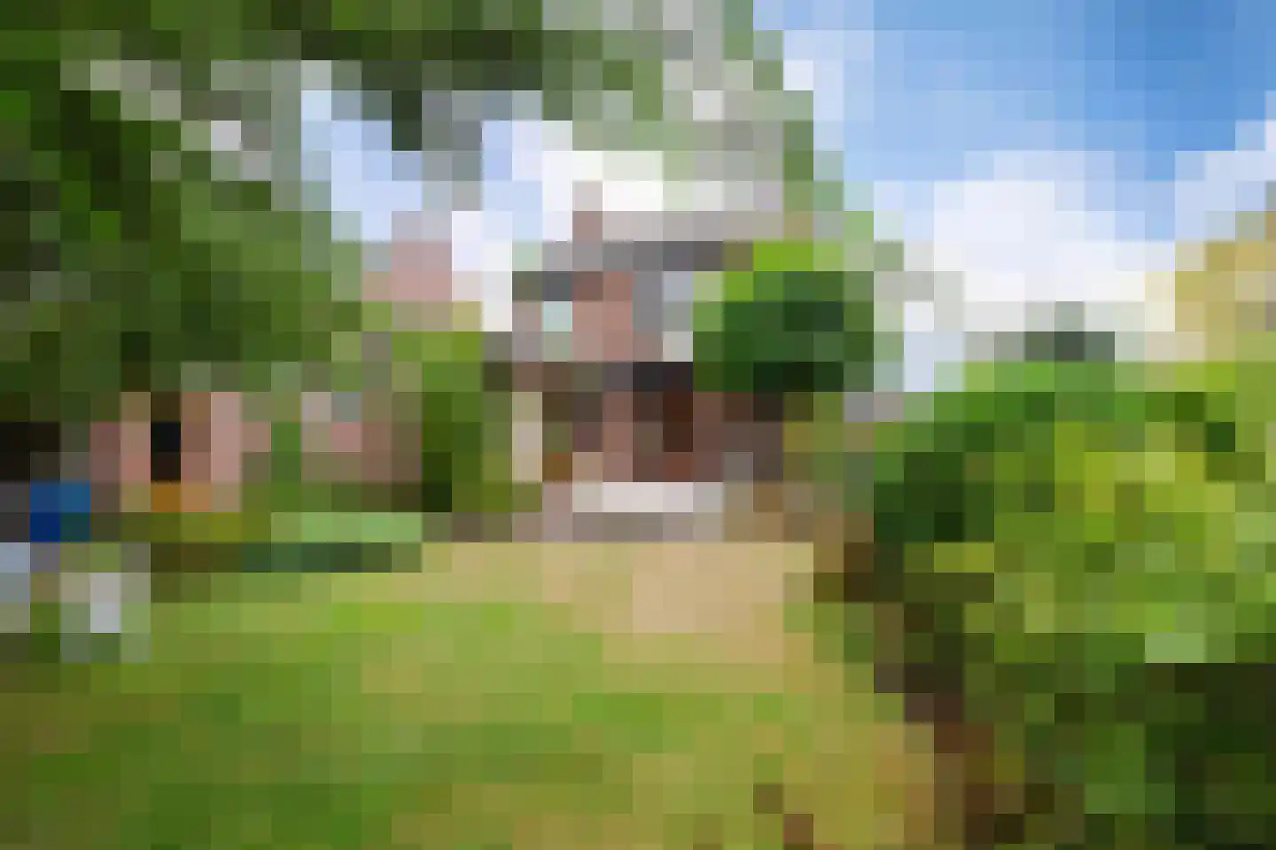 Pastoor Dominicus Hexstraat 13 Meerssen thumbnail 39