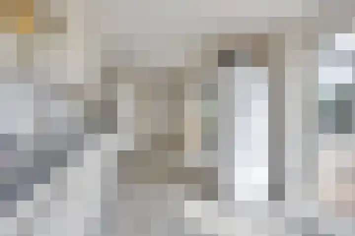 Pastoor Drehmannsstraat 16 Herten thumbnail 10