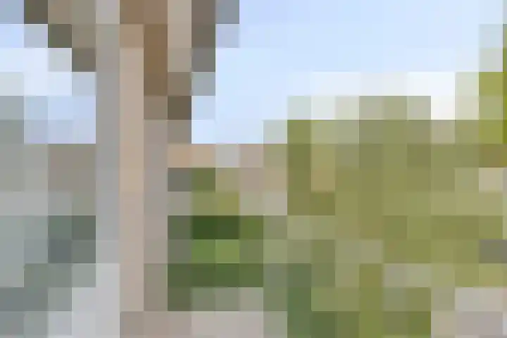 Pastoor Drehmannsstraat 16 Herten thumbnail 17