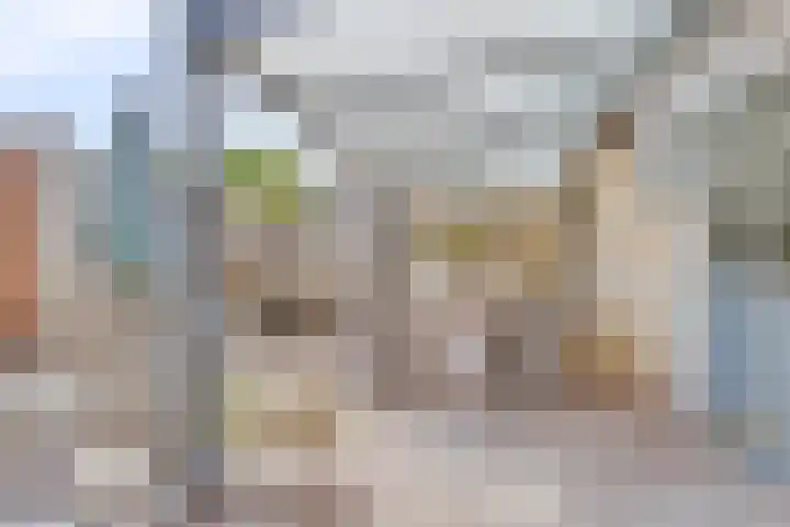 Pastoor Drehmannsstraat 16 Herten thumbnail 31