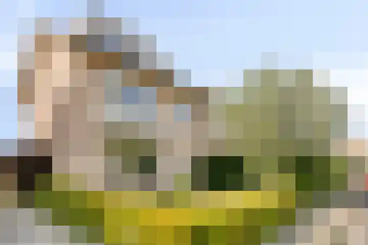 Pastoor Drehmannsstraat 16 Herten thumbnail 35