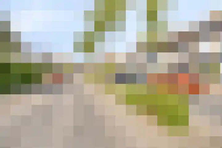Pastoor Drehmannsstraat 16 Herten thumbnail 36