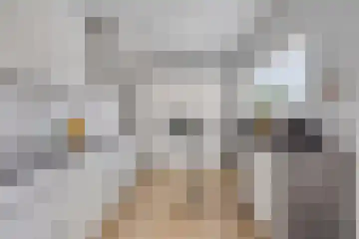 Pastoor Drehmannsstraat 18 Herten thumbnail 21