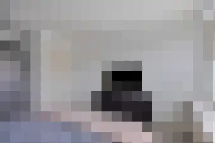 Pastoor Drehmannsstraat 18 Herten thumbnail 30