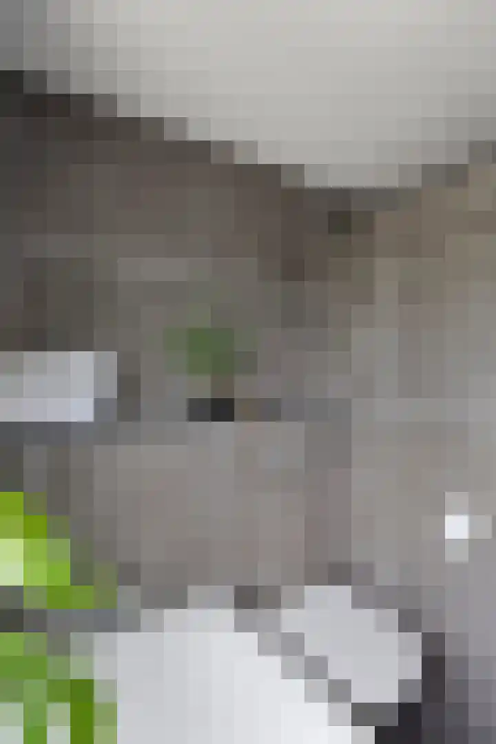 Pastoor Drehmannsstraat 18 Herten thumbnail 32