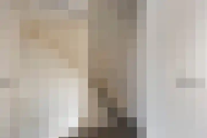 Pastoor Drehmannsstraat 18 Herten thumbnail 40