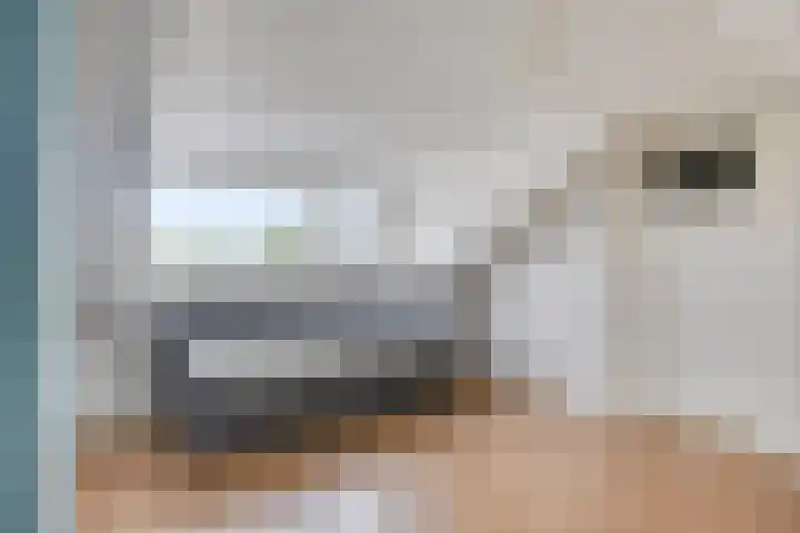 Pastoor Drehmannsstraat 18 Herten thumbnail 41