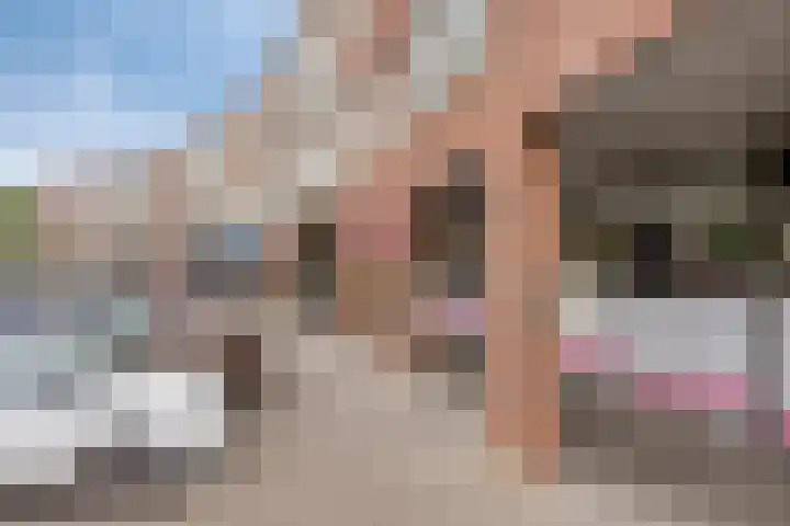 Pastoor Drehmannsstraat 18 Herten thumbnail 51