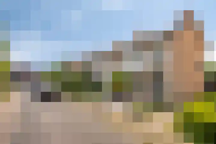 Pastoor Drehmannsstraat 18 Herten thumbnail 6