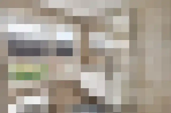 Pastoor Drehmannsstraat 29 Herten thumbnail 20