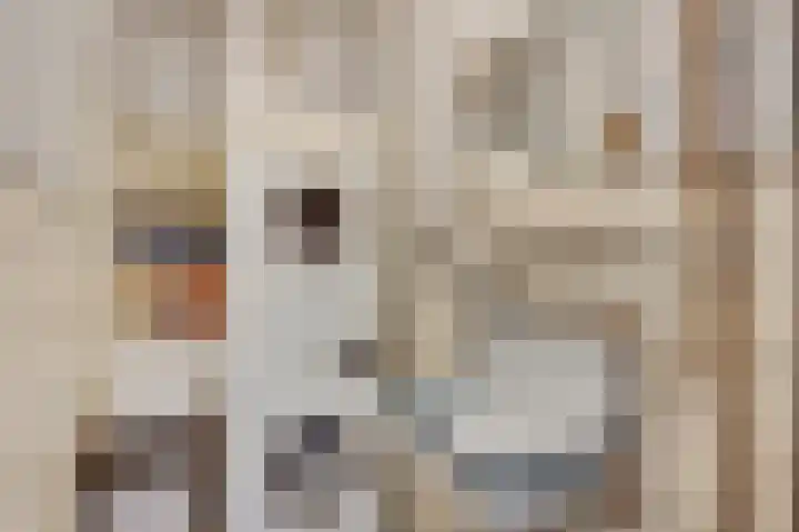 Pastoor Drehmannsstraat 29 Herten thumbnail 23