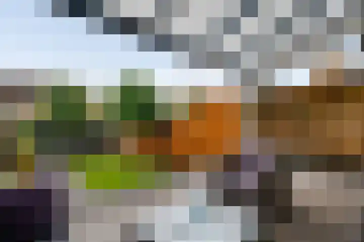 Pastoor Drehmannsstraat 29 Herten thumbnail 24