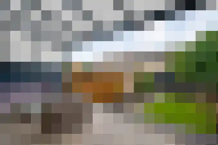Pastoor Drehmannsstraat 29 Herten thumbnail 25