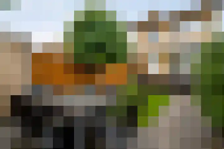 Pastoor Drehmannsstraat 29 Herten thumbnail 27