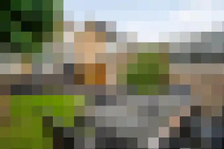 Pastoor Drehmannsstraat 29 Herten thumbnail 28