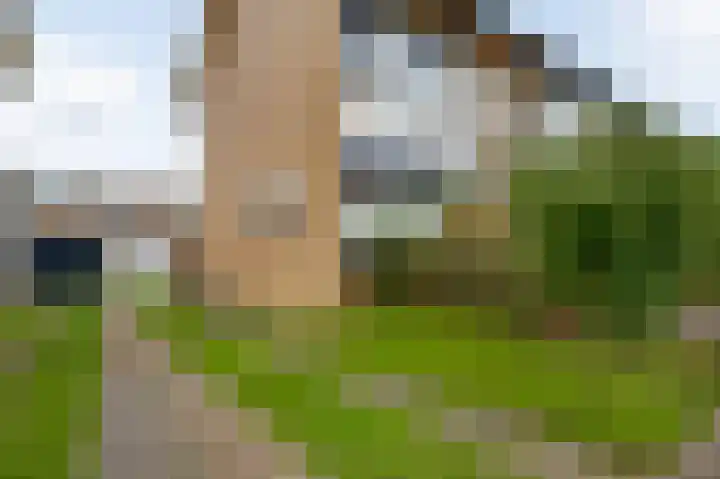 Pastoor Drehmannsstraat 29 Herten thumbnail 29