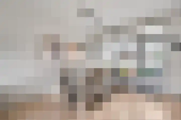 Pastoor Drehmannsstraat 29 Herten thumbnail 8