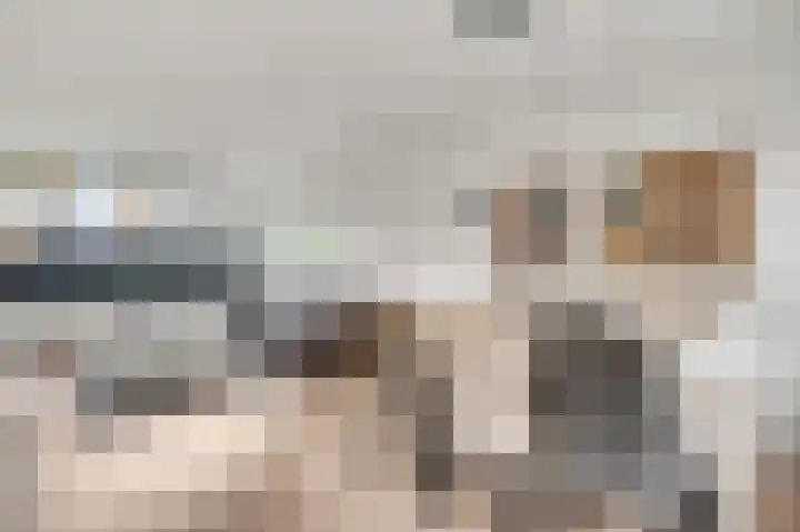 Pastoor Drehmannsstraat 29 Herten thumbnail 9