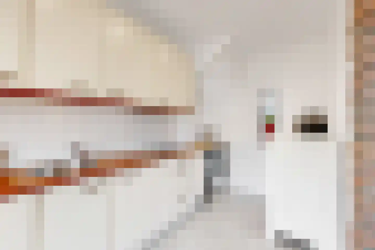 Pastoor Drehmannsstraat 35 Herten thumbnail 11