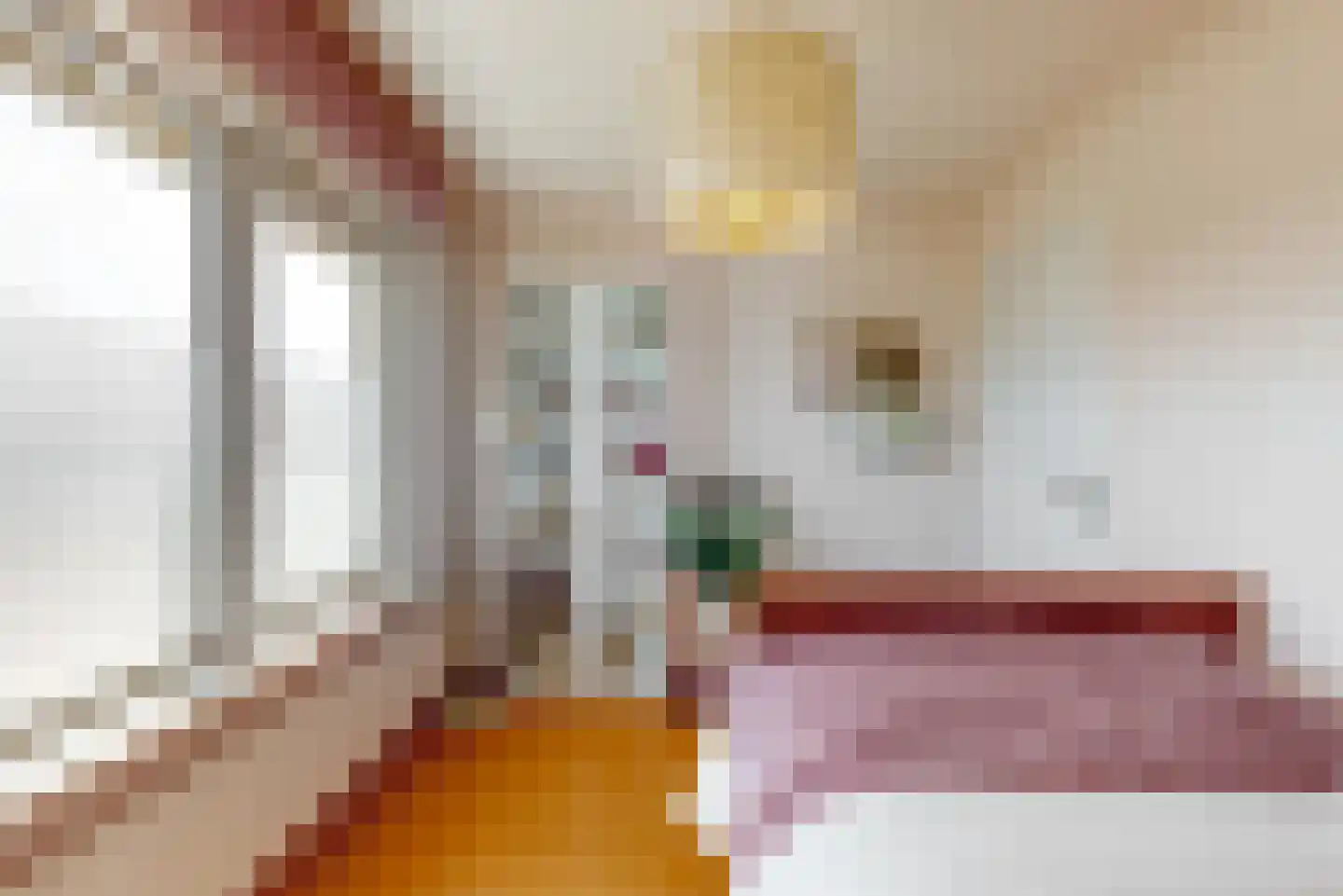 Pastoor Drehmannsstraat 35 Herten thumbnail 16