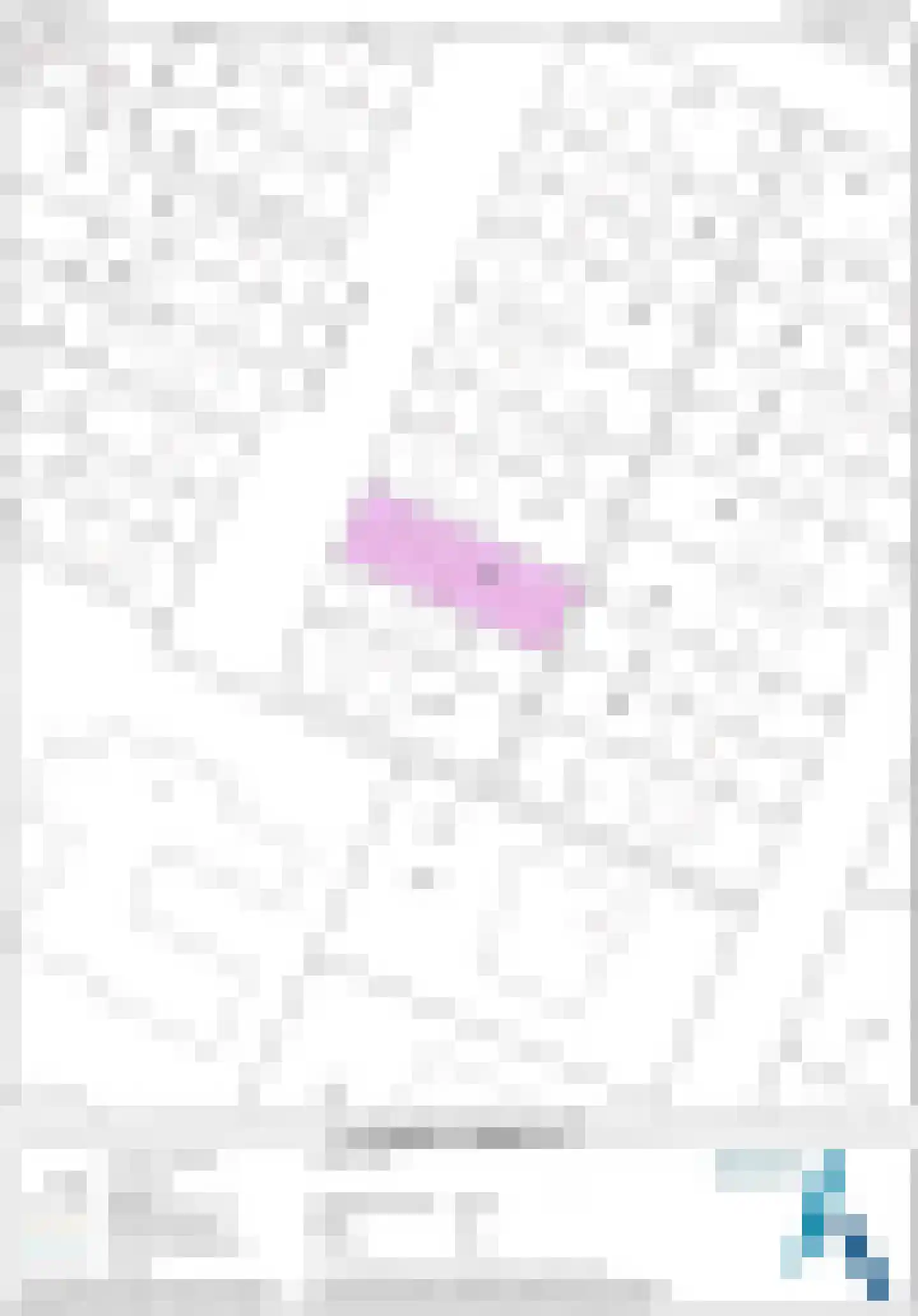 Pastoor Drehmannsstraat 35 Herten thumbnail 35