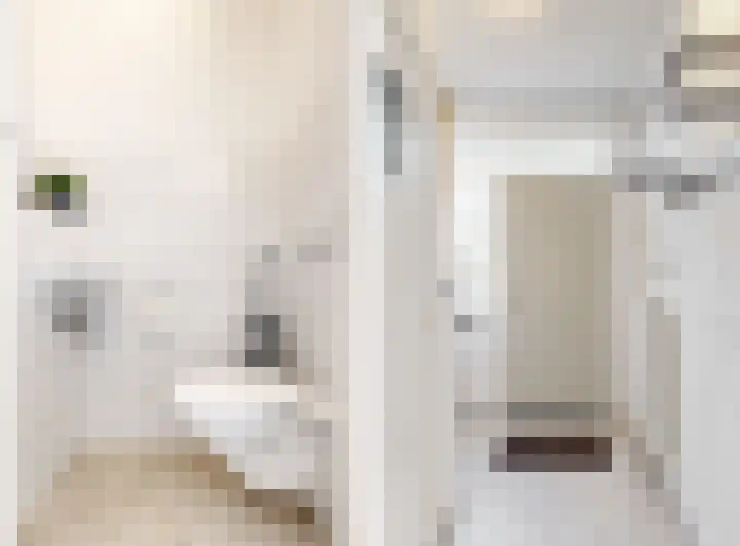 Pastoor Drehmannsstraat 35 Herten thumbnail 4