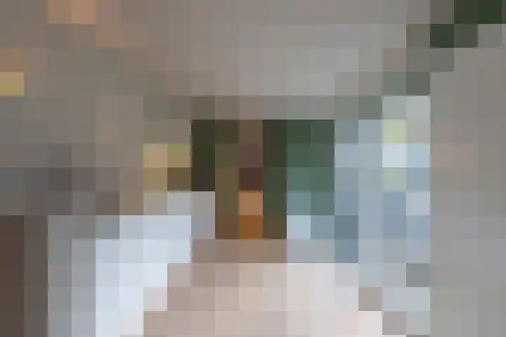 Pastoor Duckweilerweg 6 Eys thumbnail 10