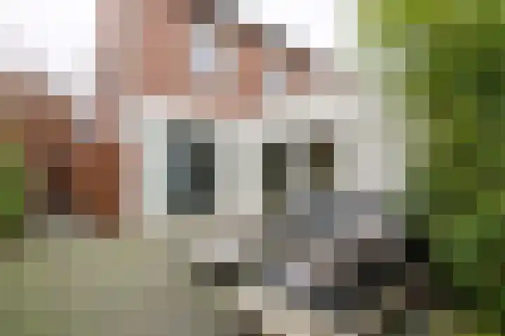 Pastoor Duckweilerweg 6 Eys thumbnail 26