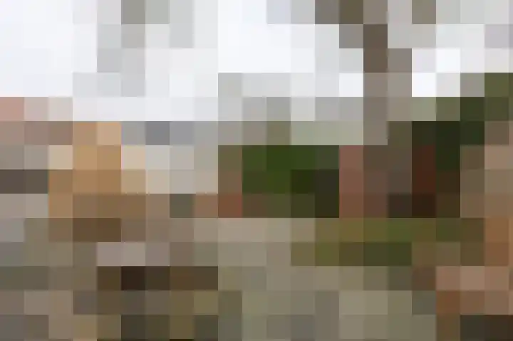 Pastoor Duckweilerweg 6 Eys thumbnail 28