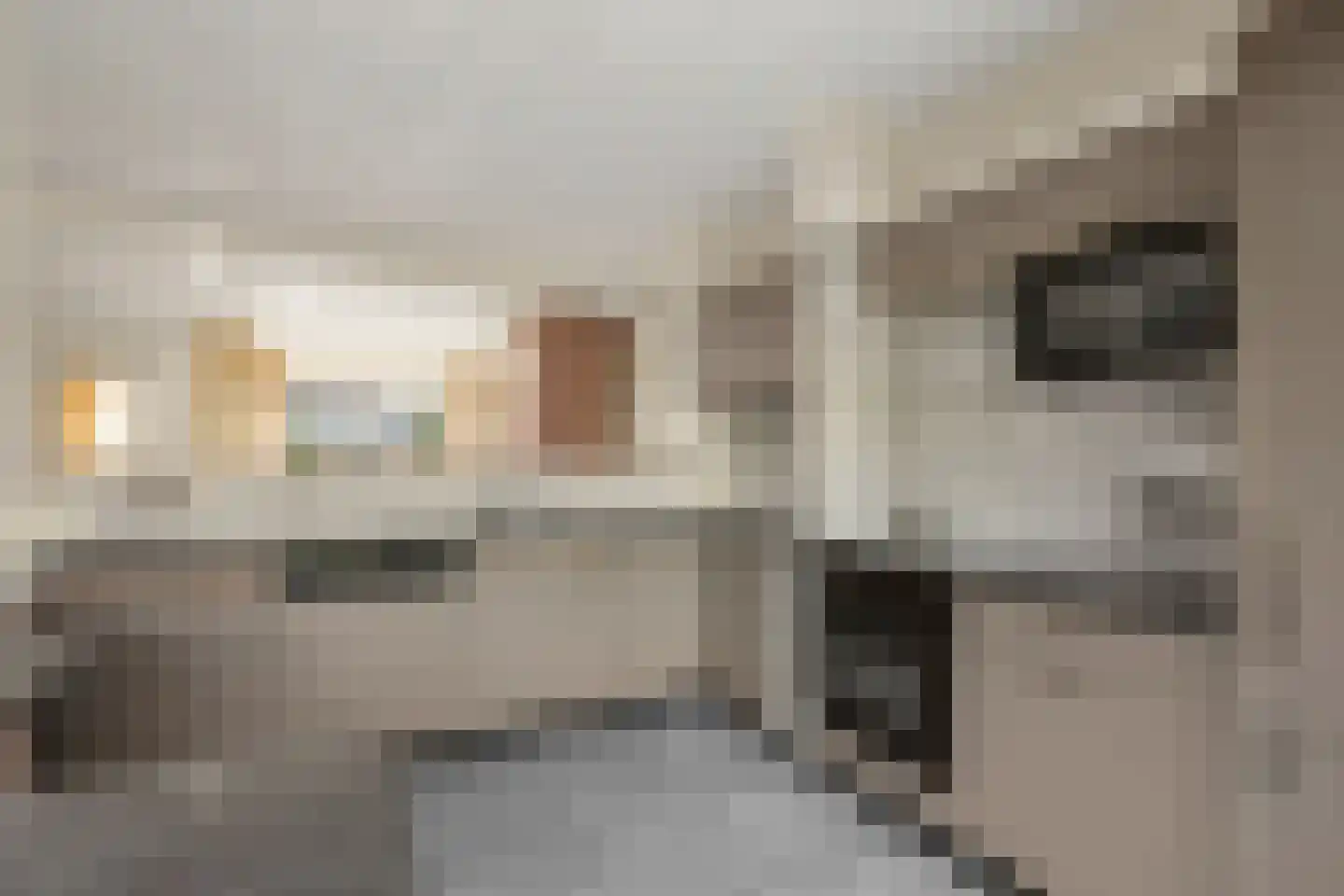 Pastoor E Aalbertszlaan 3 Odijk thumbnail 11