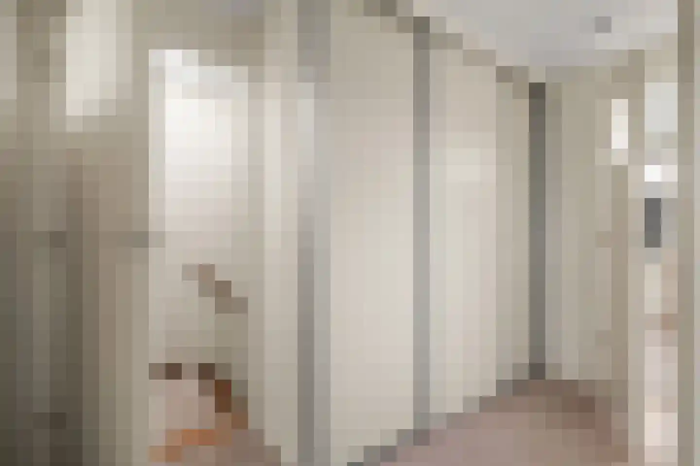 Pastoor E Aalbertszlaan 3 Odijk thumbnail 13