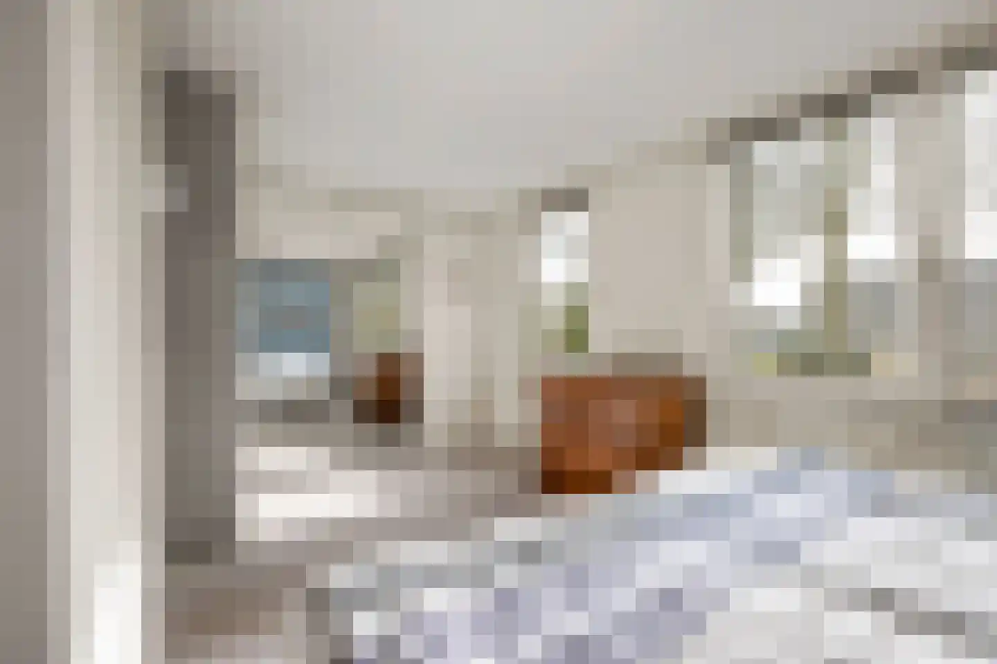 Pastoor E Aalbertszlaan 3 Odijk thumbnail 15