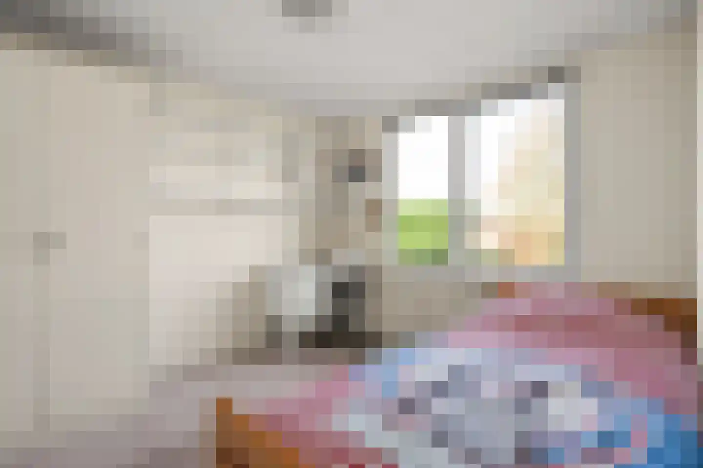 Pastoor E Aalbertszlaan 3 Odijk thumbnail 16