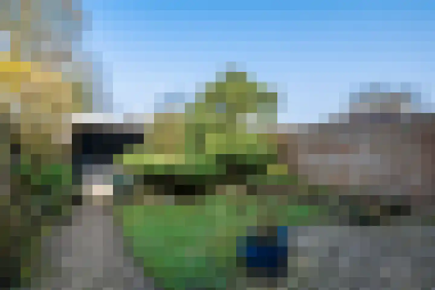 Pastoor E Aalbertszlaan 3 Odijk thumbnail 19