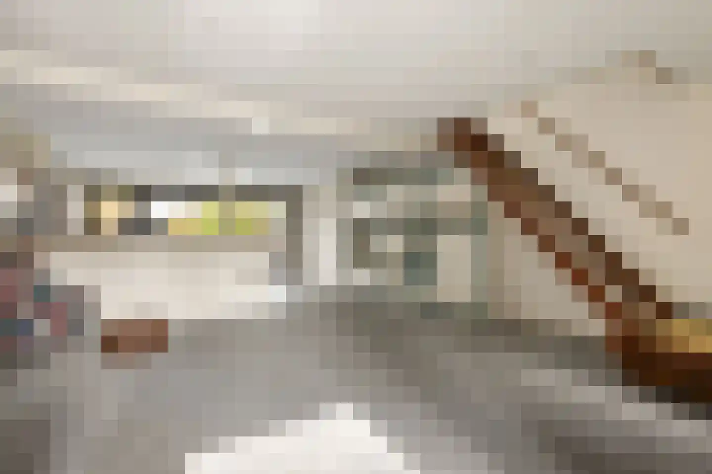 Pastoor E Aalbertszlaan 3 Odijk thumbnail 5