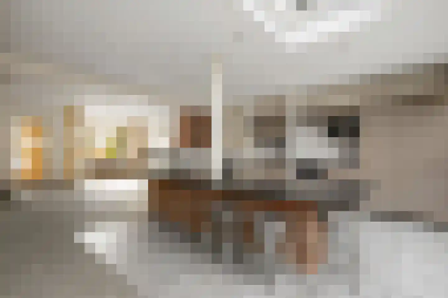 Pastoor E Aalbertszlaan 3 Odijk thumbnail 6