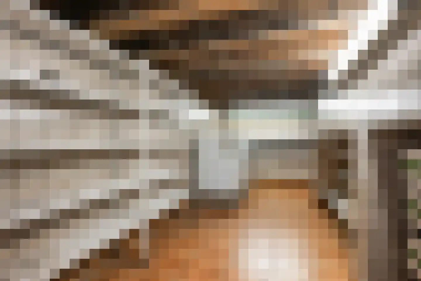 Pastoor E Aalbertszlaan 3 Odijk thumbnail 8