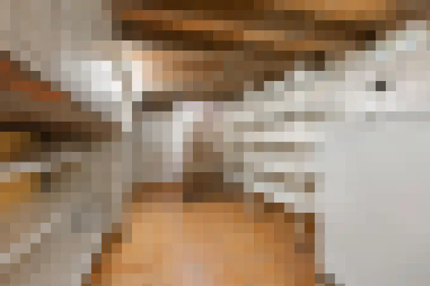Pastoor E Aalbertszlaan 3 Odijk thumbnail 9