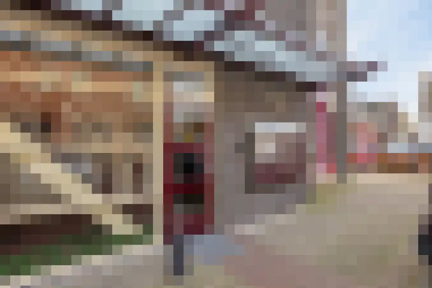 Pastoor Elsenstraat 4 Helmond thumbnail 10