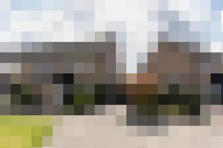 Pastoor Elsenstraat 60 Helmond thumbnail 8