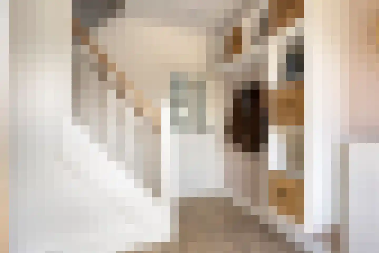 Pastoor Elsenstraat 95 Helmond thumbnail 10