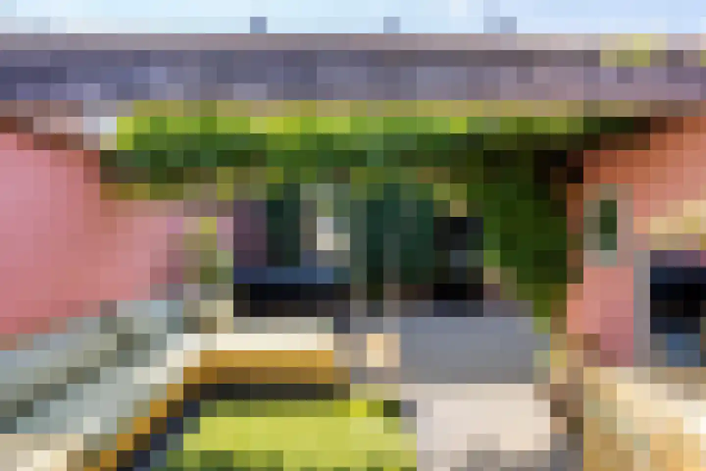 Pastoor Elsenstraat 95 Helmond thumbnail 33