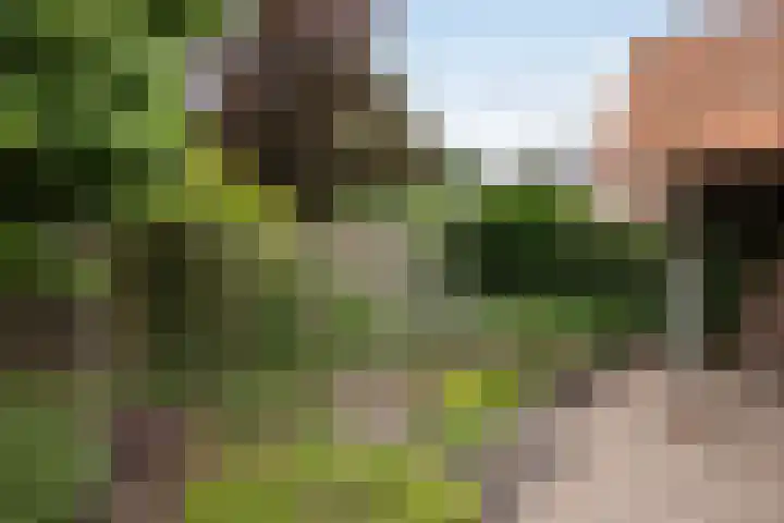 Pastoor Eppinkstraat 73 Hengelo thumbnail 31