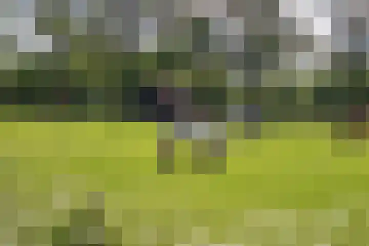 Pastoor Eppinkstraat 73 Hengelo thumbnail 34