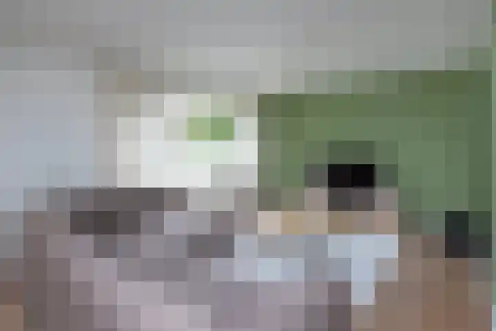 Pastoor Eppinkstraat 73 Hengelo thumbnail 4