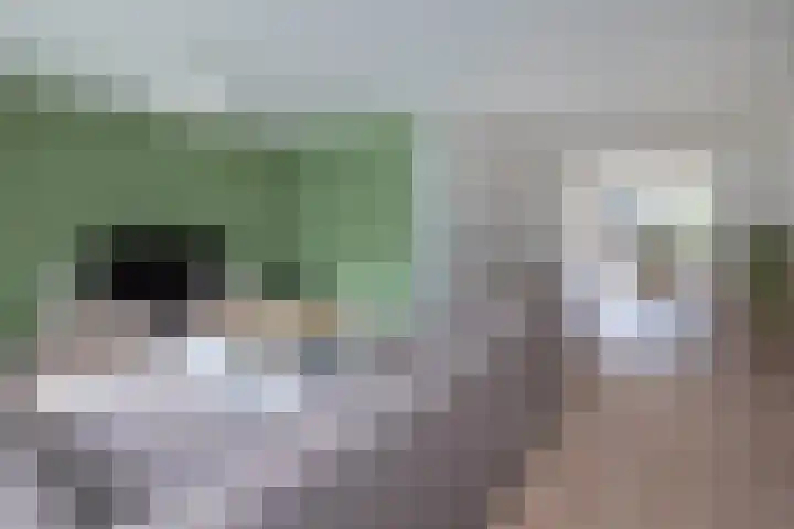 Pastoor Eppinkstraat 73 Hengelo thumbnail 7