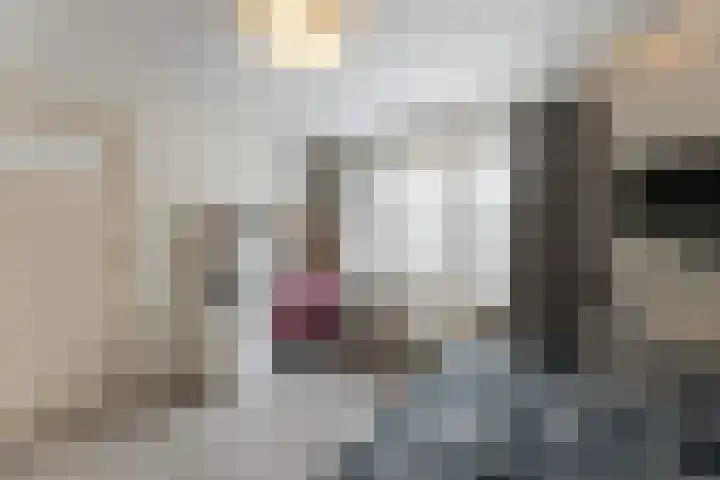 Pastoor Eshuisstraat 1 Harbrinkhoek thumbnail 23