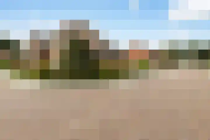 Pastoor Eshuisstraat 1 Harbrinkhoek thumbnail 27