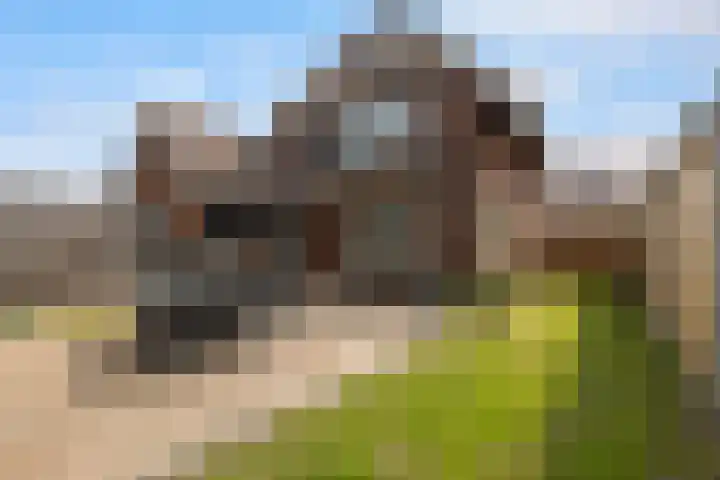 Pastoor Eshuisstraat 1 Harbrinkhoek thumbnail 28