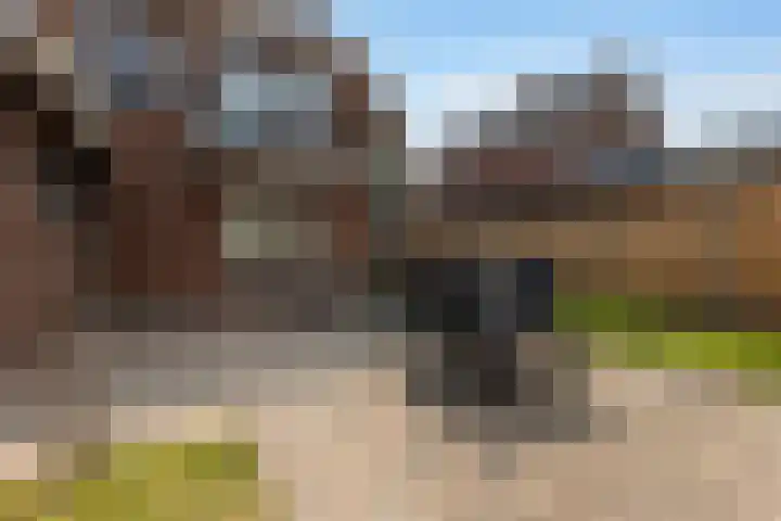 Pastoor Eshuisstraat 1 Harbrinkhoek thumbnail 29
